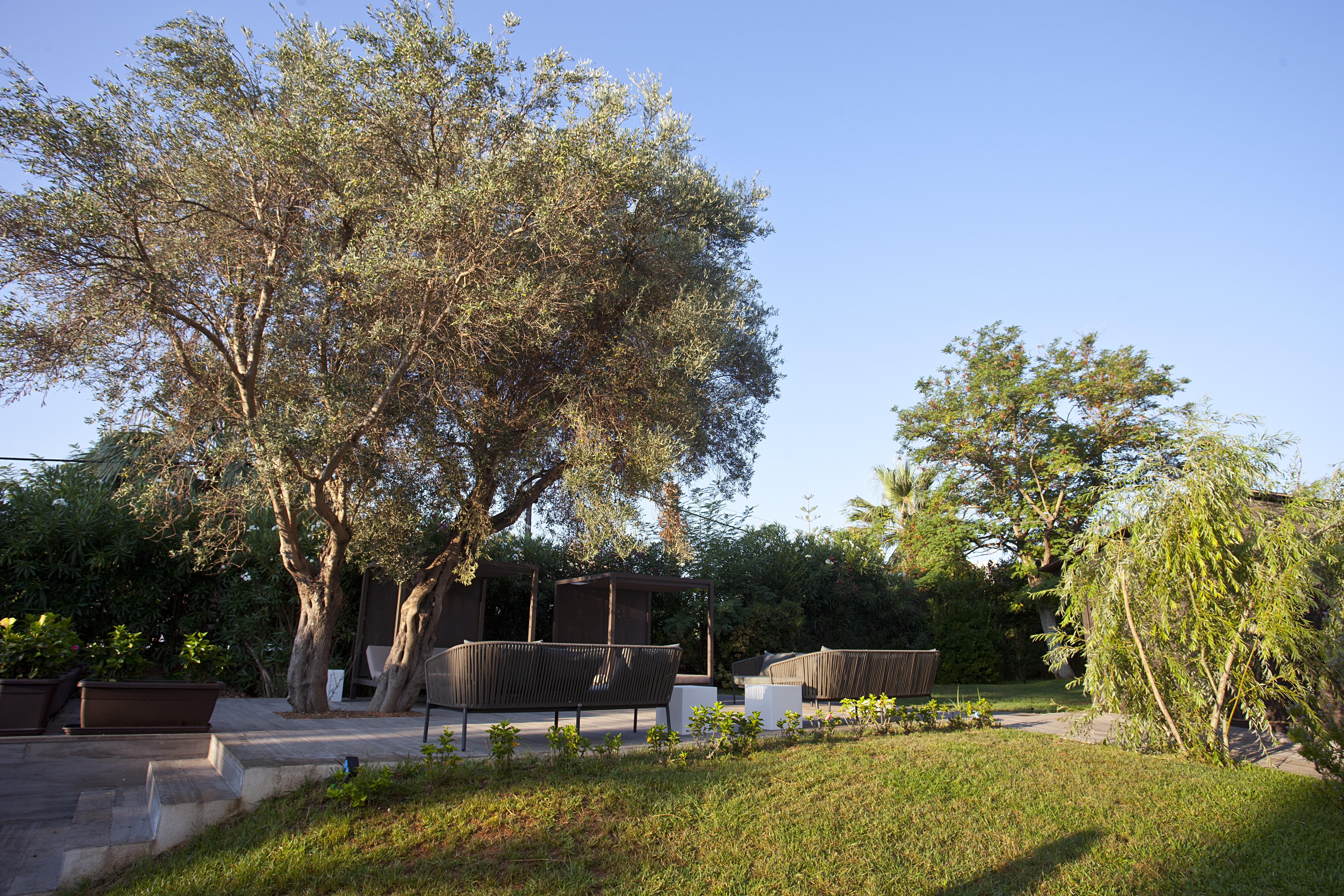 Bahia Pollensa Aparthotel